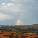 AZ Rainbow